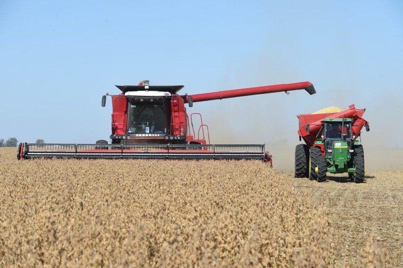 La cosecha récord da impulso a la actividad de la cadena agropecuaria
